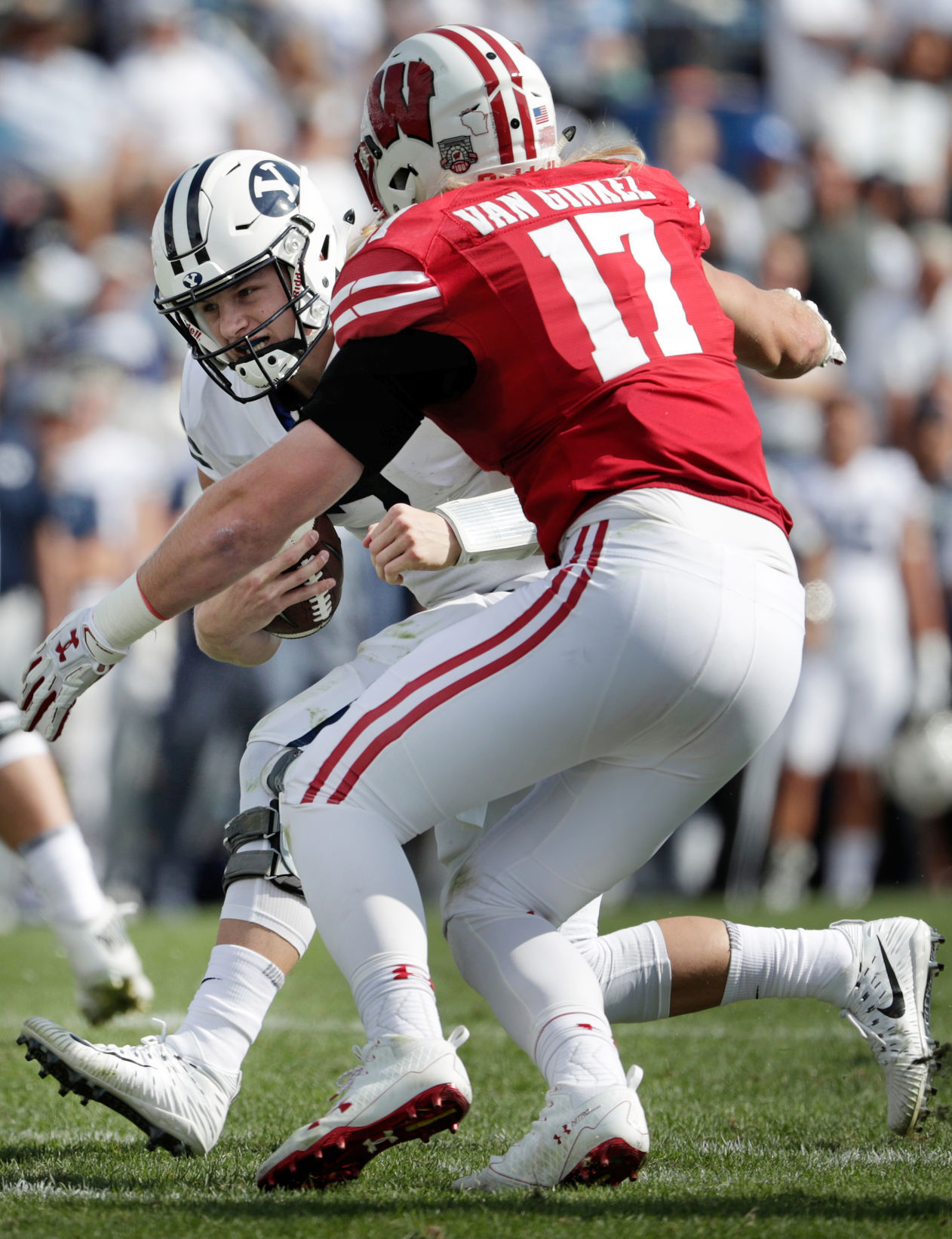 Badgers vs. Cougars